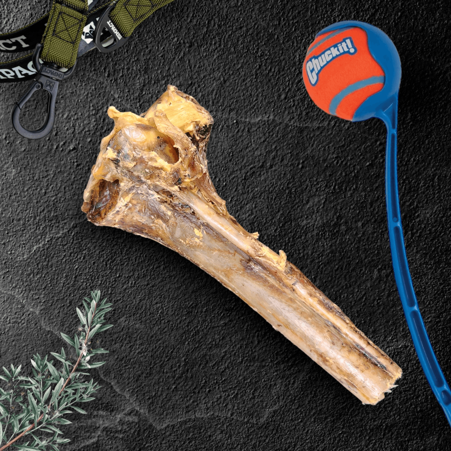 Ostrich Cane Bone